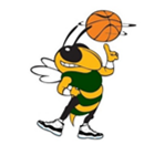 Mini Ballers
